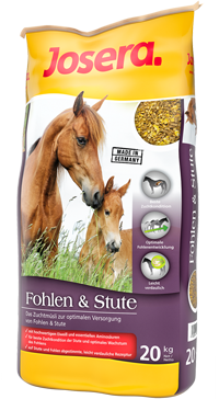 stute fohlen sack